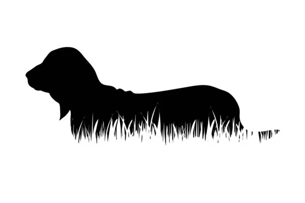 Vector Silhouet Van Hond Het Gras Witte Achtergrond — Stockvector