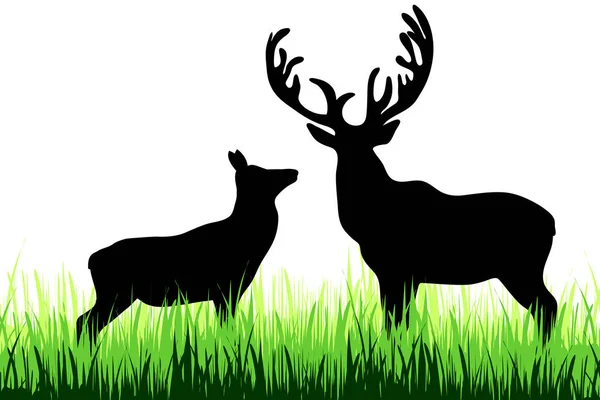 鹿的向量剪影在草甸在白色背景 — 图库矢量图片