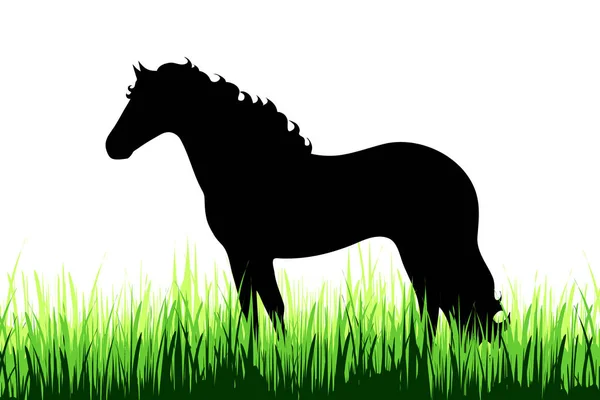 白い背景の上の草原に馬のベクトル シルエット — ストックベクタ
