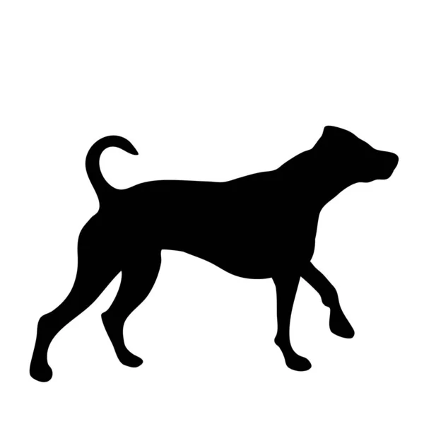 Silhouette Vettoriale Del Cane Sfondo Bianco — Vettoriale Stock