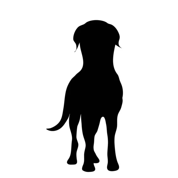 Vector Silhouet Van Hond Witte Achtergrond — Stockvector