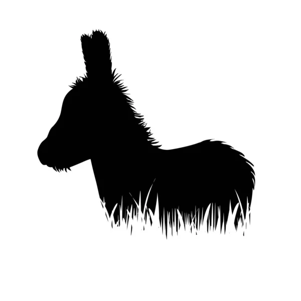 Vektorsilhouette Des Esels Gras Auf Weißem Hintergrund — Stockvektor