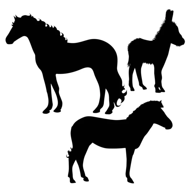 Silhouette Vectorielle Cheval Âne Zèbre Sur Fond Blanc — Image vectorielle