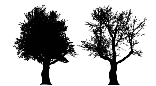 Silueta Vectorial Árbol Sobre Fondo Blanco — Vector de stock