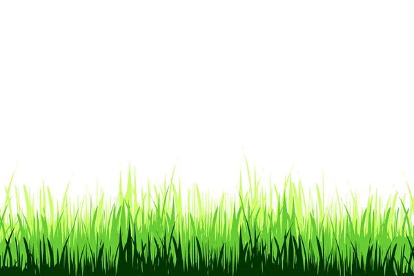 Vector Illustration Grass White Background — Stock Vector