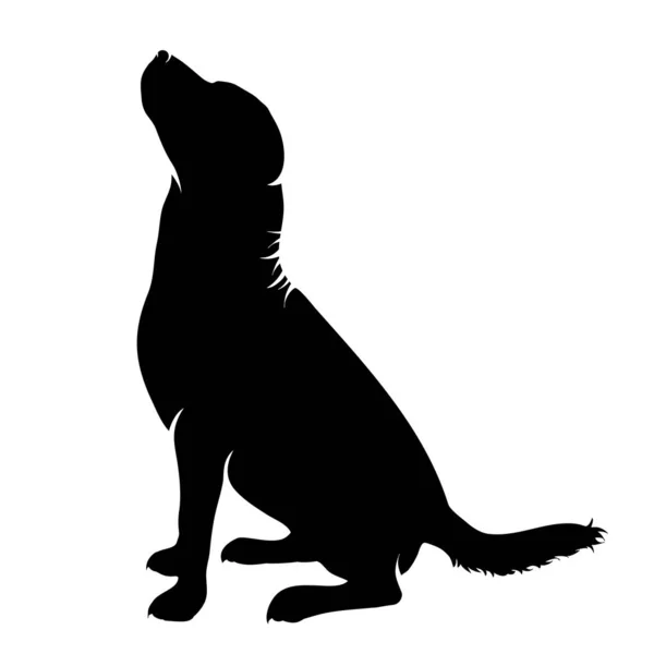 Silhouette Vectorielle Chien Sur Fond Blanc — Image vectorielle