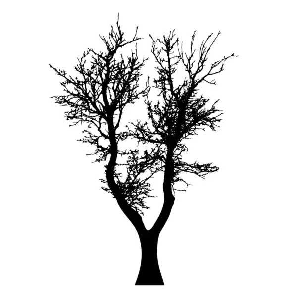 Silhouette Vettoriale Albero Sfondo Bianco — Vettoriale Stock