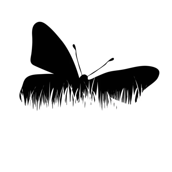 Διάνυσμα Σιλουέτα Της Πεταλούδας Στο Γρασίδι Λευκό Φόντο — Διανυσματικό Αρχείο