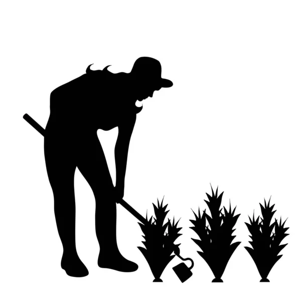 Vector Silhouette Gardener White Background — Stock Vector