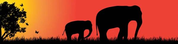 夕暮れ時の自然の中の象のベクトル シルエット — ストックベクタ