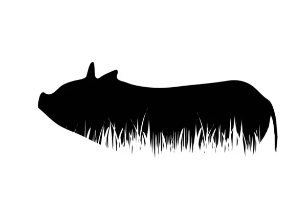 Vector Silhouette Pig Grass White Background — Stock Vector