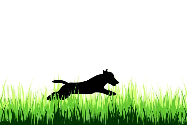 Vector Silhouet Van Hond Een Weide Witte Achtergrond — Stockvector