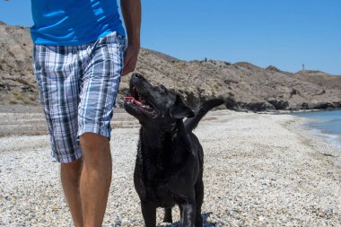 adam köpeğiyle sahilde.