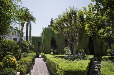 Granada İspanya Sarayı bahçesinde.