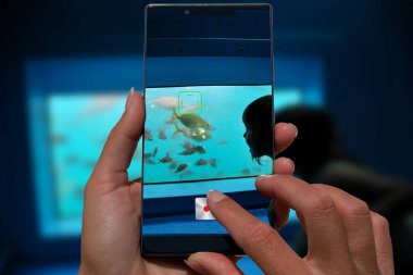 Balık bak kadın cep telefonu fotoğraf küçük kızla.