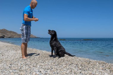 adam köpeğiyle sahilde.