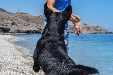 adam köpeğiyle sahilde.