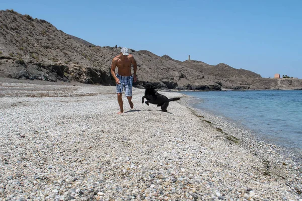 adam köpeğiyle sahilde.