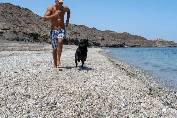 adam köpeğiyle sahilde.