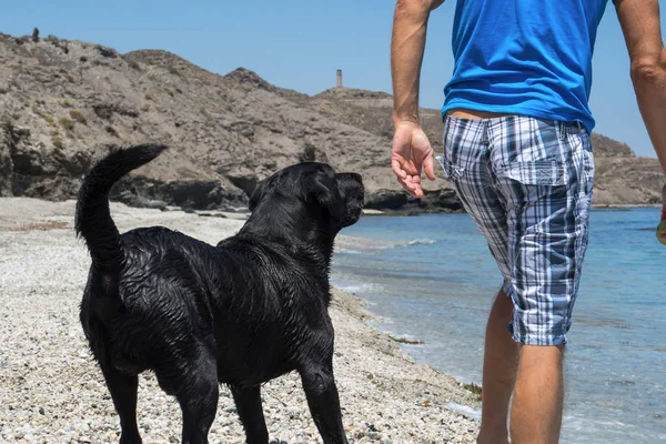 Mann Mit Hund Strand — Stockfoto