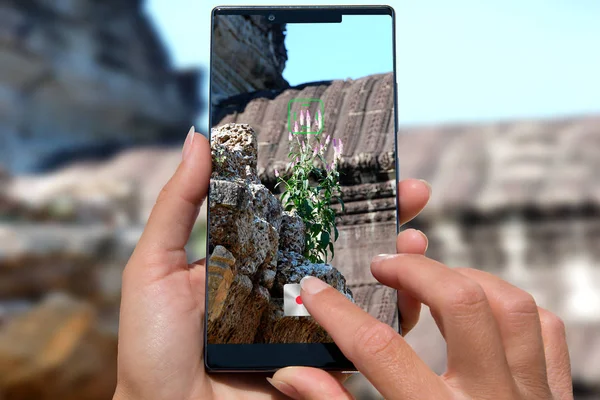 Mujer Con Fotos Del Teléfono Móvil Templo Los Tours Camboya — Foto de Stock