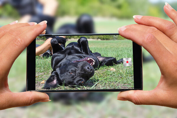 Женщина с фотографиями собаки мобильного телефона
.