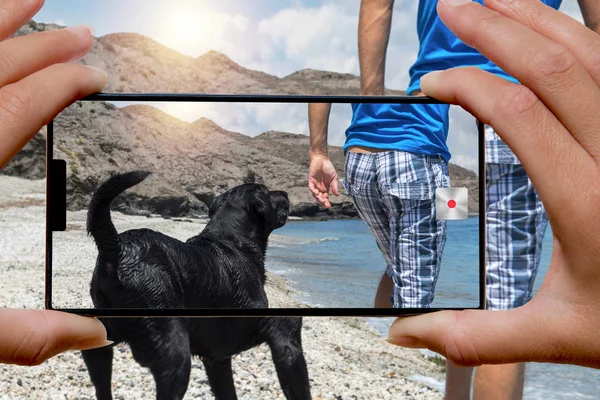 Mujer Con Fotos Teléfono Móvil Hombre Con Perro Playa — Foto de Stock