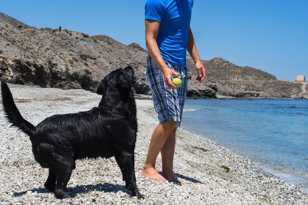 Mann Mit Hund Strand — Stockfoto