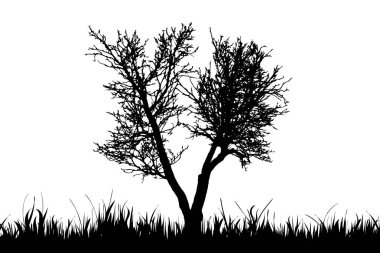 Sonbaharda ağaç çim siluet vektör.