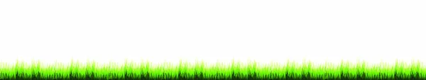 Vector Illustration Grass White Background — Stock Vector