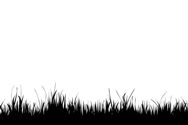Vector Silhouette Grass White Background — Stock Vector