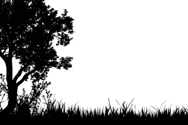 Vektorsilhouette Von Gras Mit Baum Herbst — Stockvektor