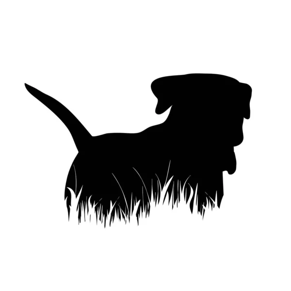 Διάνυσμα Σιλουέτα Του Σκύλου Στο Γρασίδι Λευκό Φόντο — Διανυσματικό Αρχείο