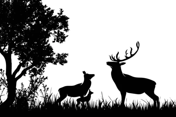 森林的向量剪影与鹿 后和婴孩后 — 图库矢量图片