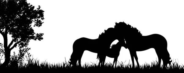 在草地上的马的家庭的向量剪影 — 图库矢量图片