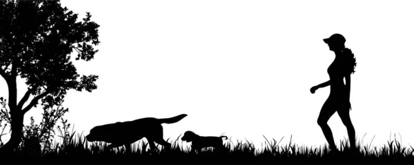 Vektorsilhouette Einer Frau Mit Hunden Auf Der Wiese — Stockvektor