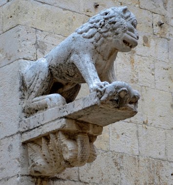 Katedralin girişindeki aslan heykelleri 12..