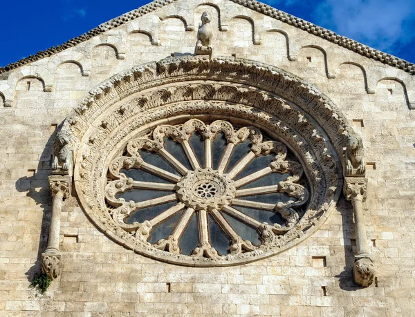 Luxurious Carved Rosettes Adorn Ends Cross Terms Cathedral — Stock Photo, Image