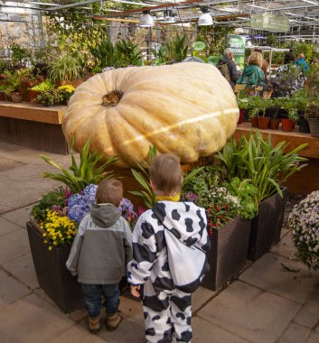 Sadece küçük çocuklar değil, aynı zamanda babaları, anneleri ve büyükanneleri ilk kez böyle bir mucize gördüm.