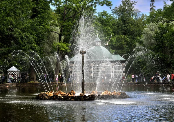 Southern Shore Gulf Finland Peter Founded Palace Park Ensemble World — Stock Photo, Image