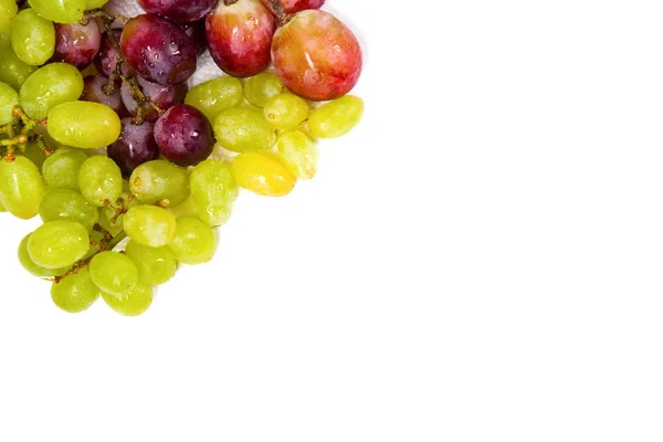 Rippen grapes and right top copyspace — Stock Photo, Image