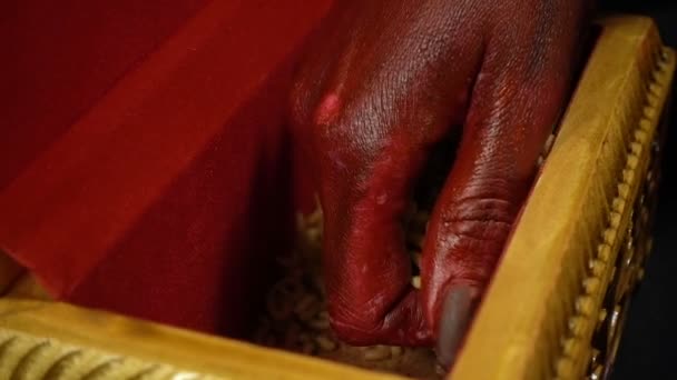 クロールの幼虫に触れる血まみれの手 — ストック動画