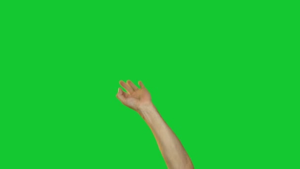 Male okey gesture on green background — Stock Video