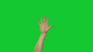 Erkek hurma ile yeşil renkli parmaklar