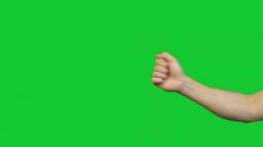 Erkek boynuzları jest yeşil zemin üzerine