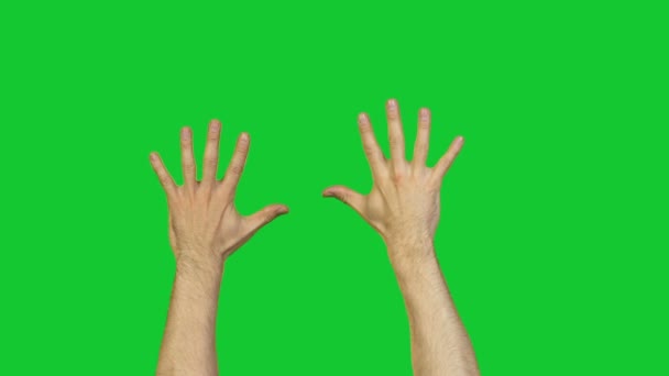 Mannelijke handen met vingers op groene achtergrond — Stockvideo