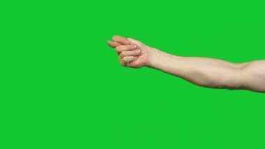 Fico jest yeşil arka plan üzerinde gösterilen