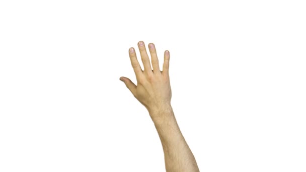 Images de mains masculines sur fond blanc 