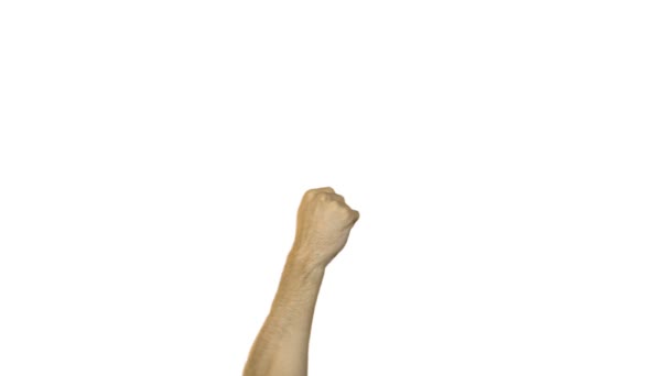 Doigt du milieu sur fond blanc 