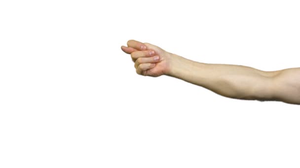 Zobrazeno fico gesto na bílém pozadí — Stock video